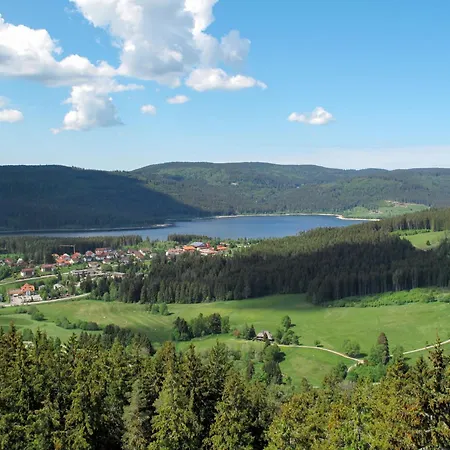 Schluchseehuus By Interhome Сasa de vacaciones Schluchsee